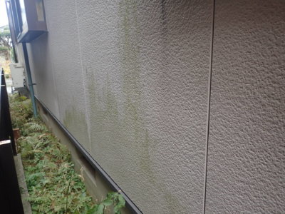 外壁の汚れ藻コケ微生物外壁塗装の事なら浜松塗装専門店｜加藤塗装　プロの職人直伝