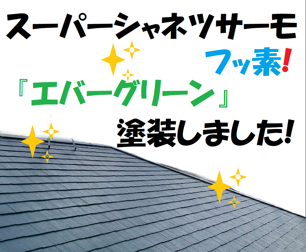 スーパーシャネツサーモF/エバーグリーン/アステックペイント その他