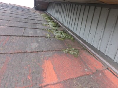スレート屋根高圧洗浄築年数が古い外壁塗装の事なら浜松塗装専門店加藤塗装色褪せ錆汚れ旧塗膜藻コケ