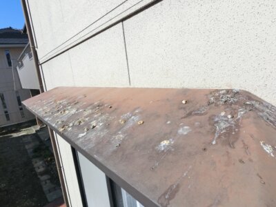 鳩ムクドリカラス鳥害対策外壁塗装の事なら浜松塗装専門店加藤塗装